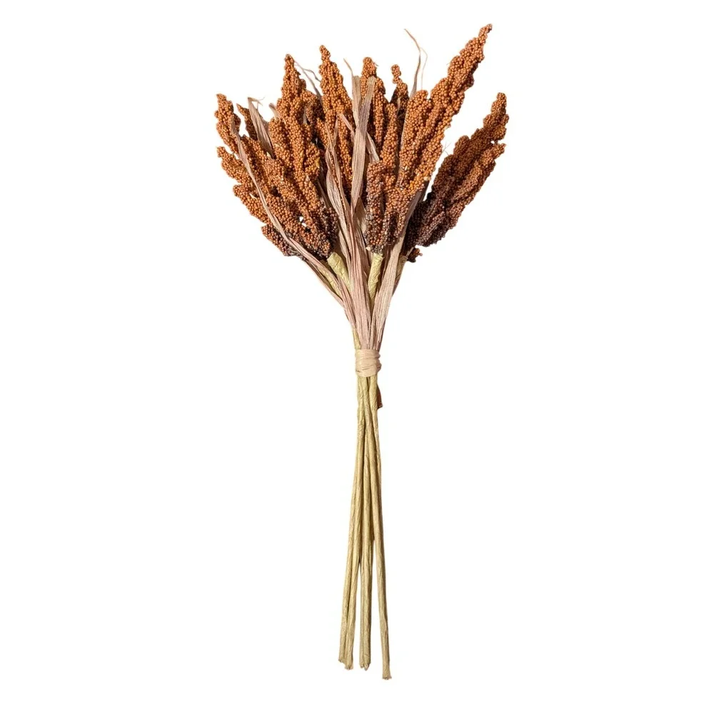 Natural Dried Millet Spray Bundle Terracotta Brown Fall Floral Home‎ Decor Stems